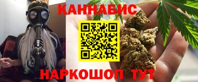 индика Гусь-Хрустальный