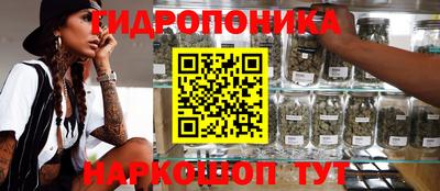 крисы Рузаевка