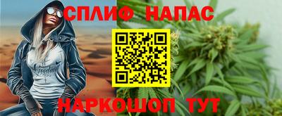индика Гусь-Хрустальный