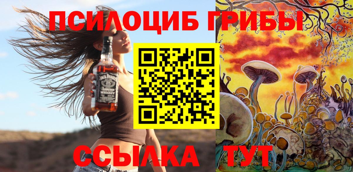 Галлюциногенные грибы Psilocybe Наро-Фоминск