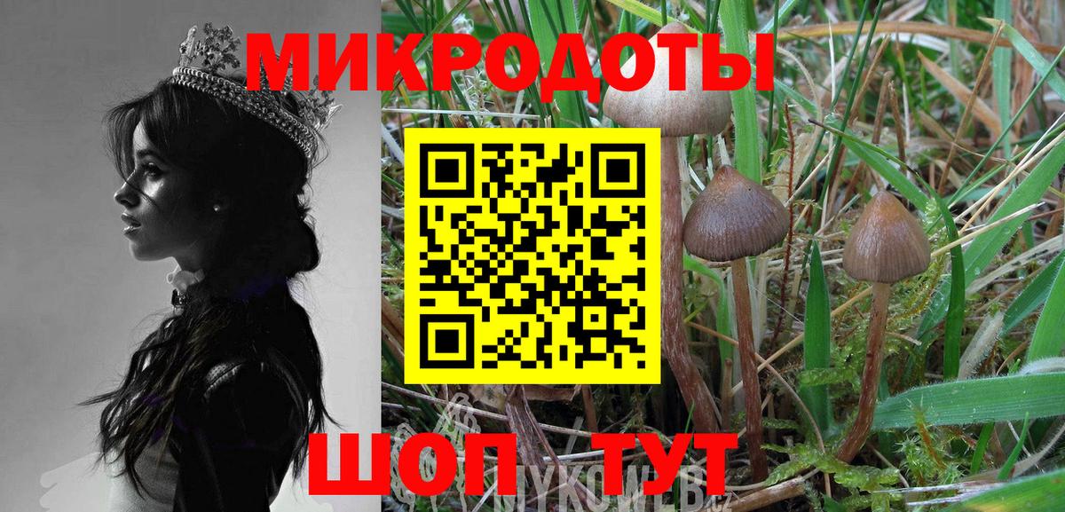 Псилоцибиновые грибы MAGIC MUSHROOMS  Вход с VPN  Наро-Фоминск 